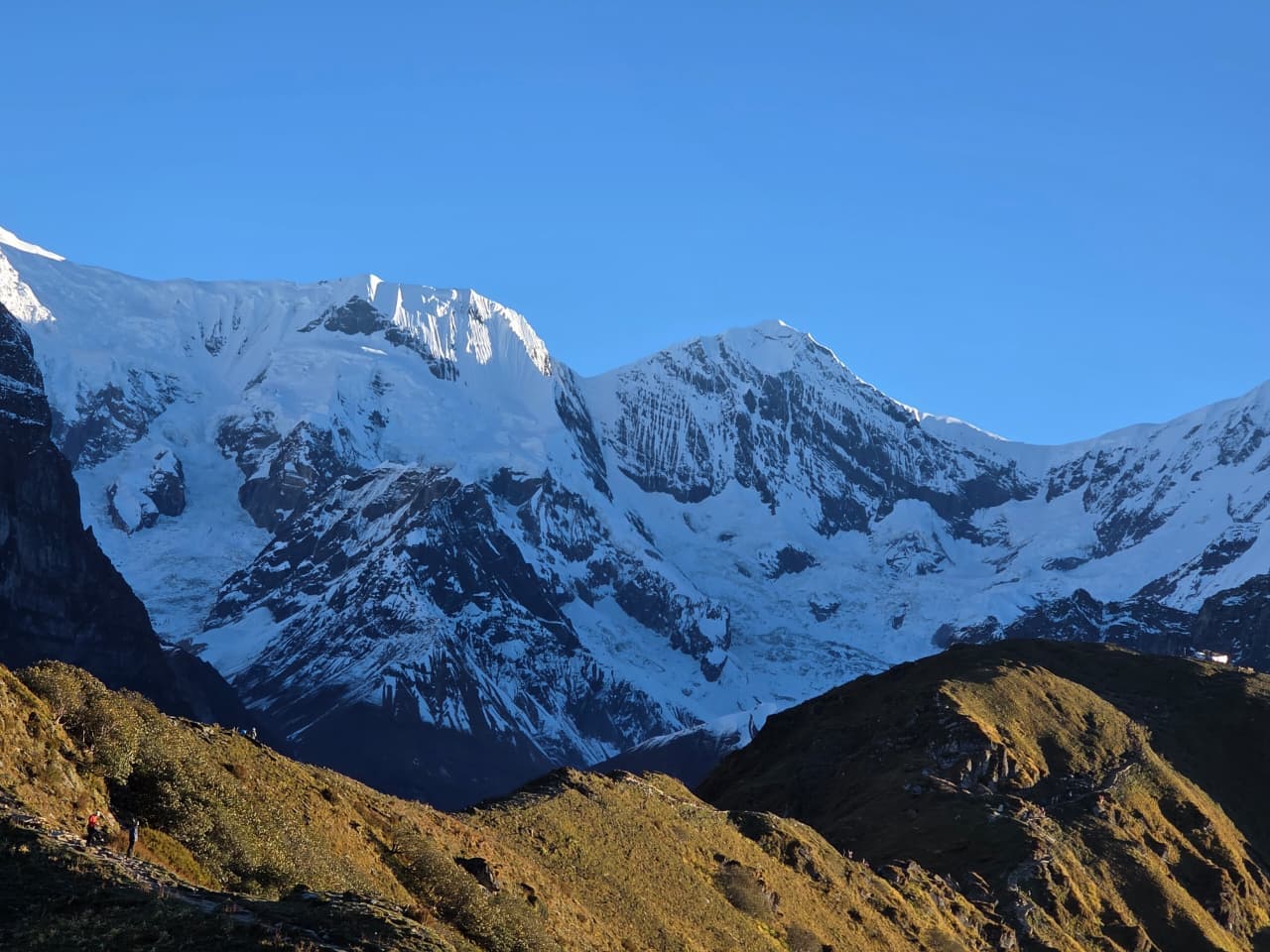 High altitude tea houses on a brown ridge with a view of Machhapuchhre in the distance