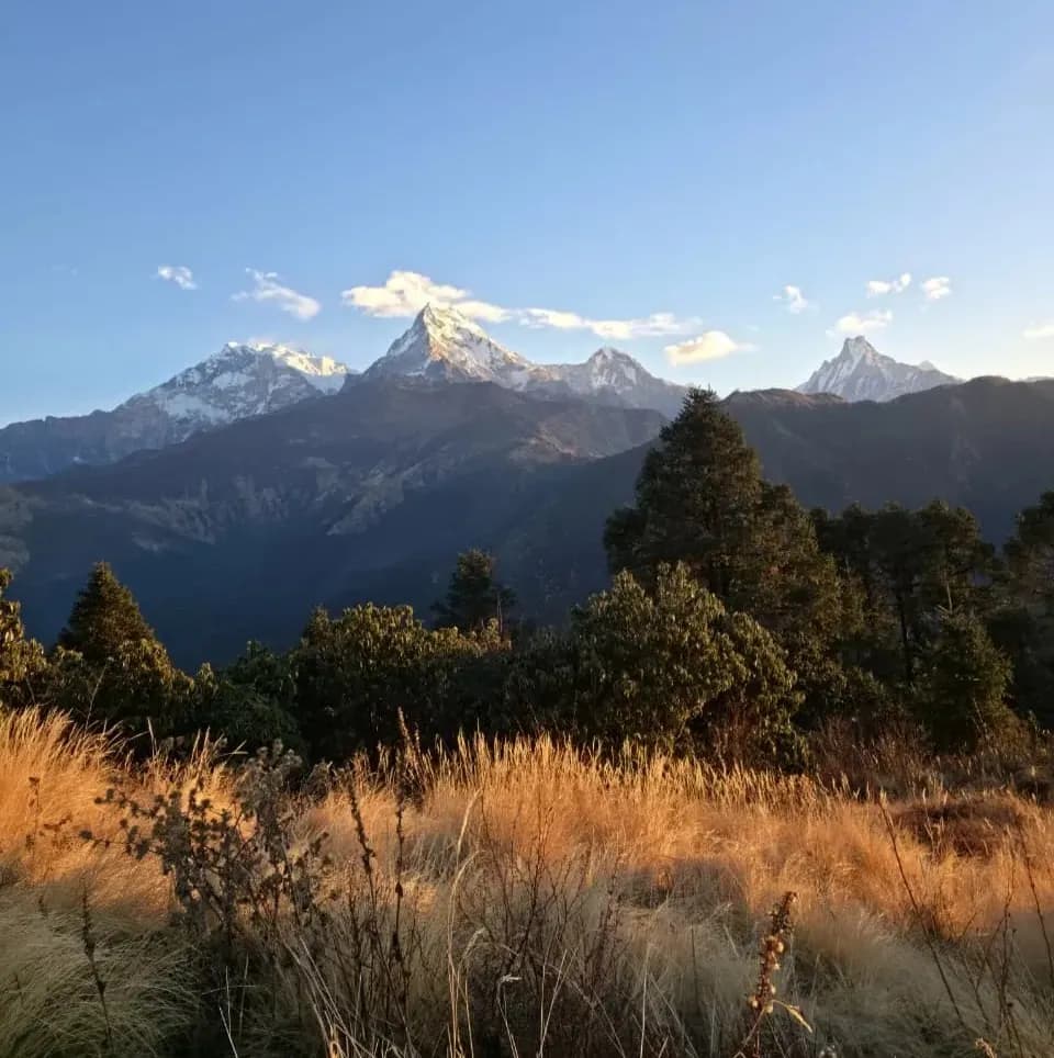 Golden sunset light on the Dhaulagiri mountain range during the Ghorepani Poon Hill Trek Golden sunset light on the Dhaulagiri mountain range during the Ghorepani Poon Hill Trek